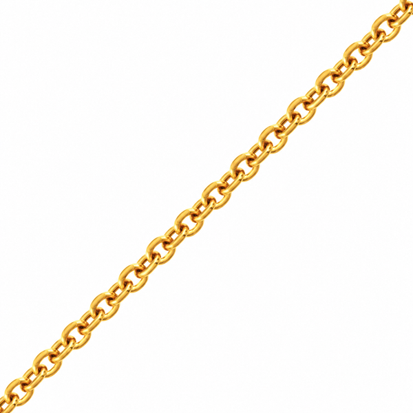 Round Trace Chain – 18-karat Yellow Gold – Manufacture Mayaud